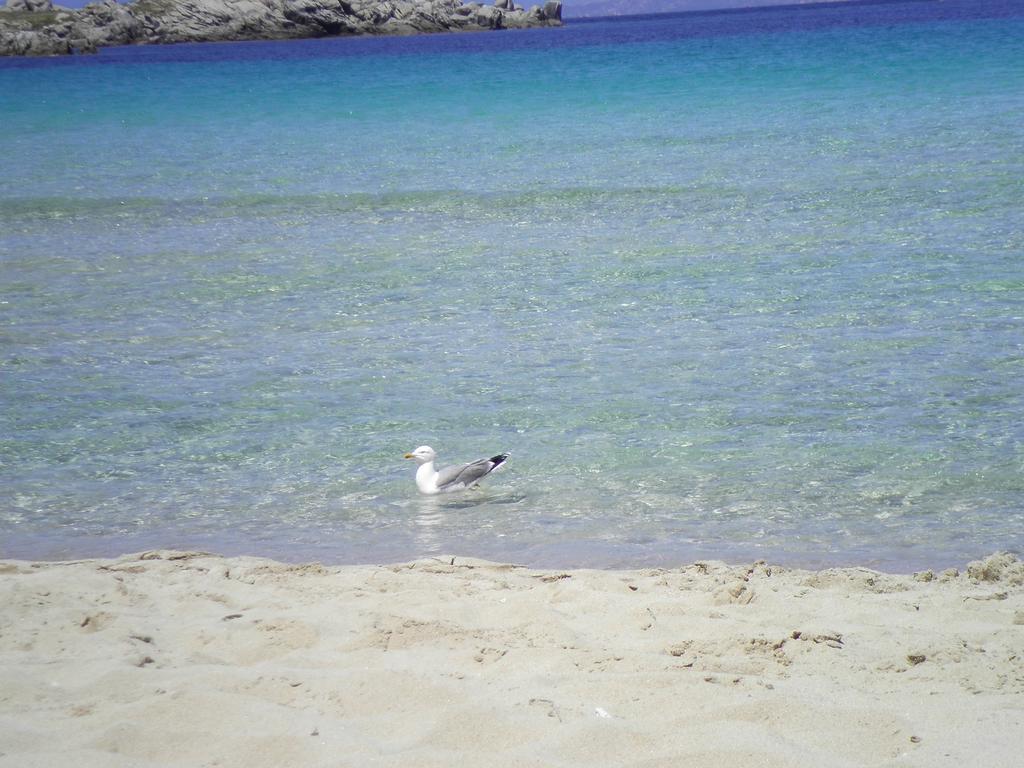 Bed and Breakfast La Finestra Vista Corsica Санта-Тереза-Галлура Экстерьер фото